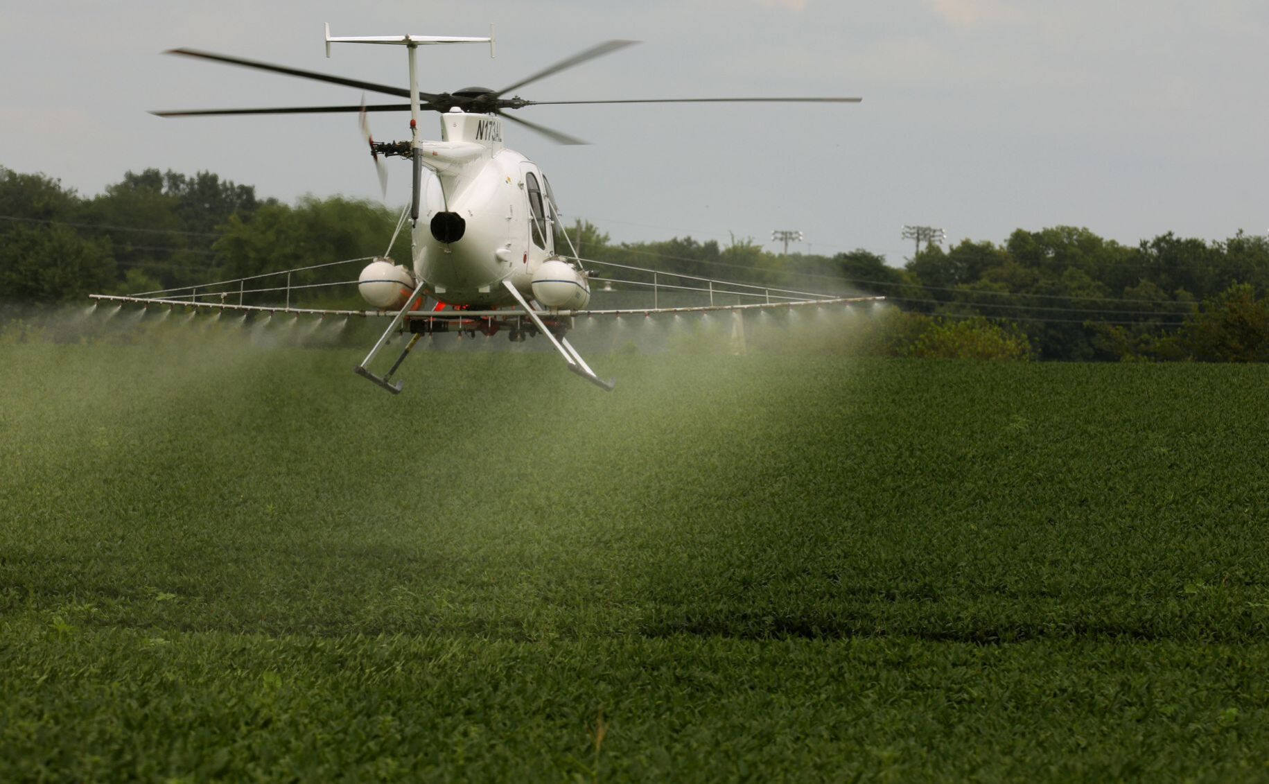 Crop spraying to save fungal spread